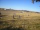 Green Cemetery, Andrew County, Missouri