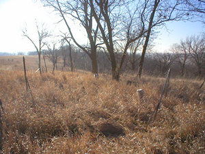Hobson Cemetery