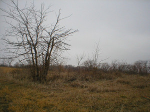 Moran Cemetery