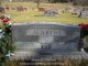 William Lemuel Jenkins (I16027)