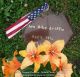 Ann Mike Griffin -- Grave Marker