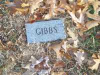 0224 Gibbs