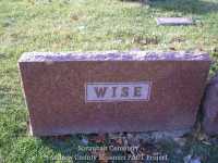 395_wise
